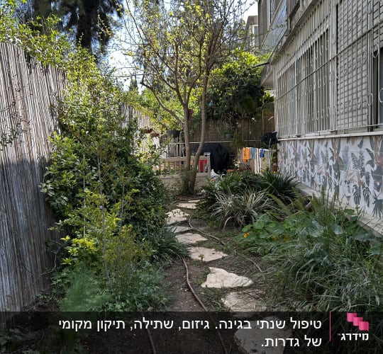 שביל גינה עם צמחים ועצים לצד בית